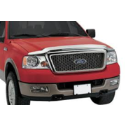 Bug Deflector Ford F150