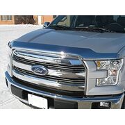 Bug Deflector Hood Shield F150