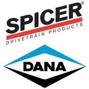 Dana Spicer